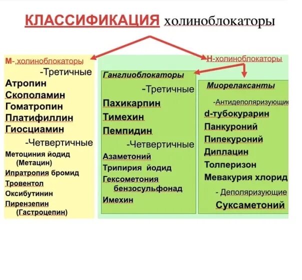 К группе холиноблокаторов относятся. Холиноблокаторы классификация. М-холиноблокаторы классификация. Классификация холиноблокаторов фармакология. Н-холиноблокаторы препараты.