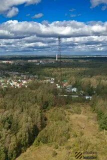 Московская пушкинский лесной