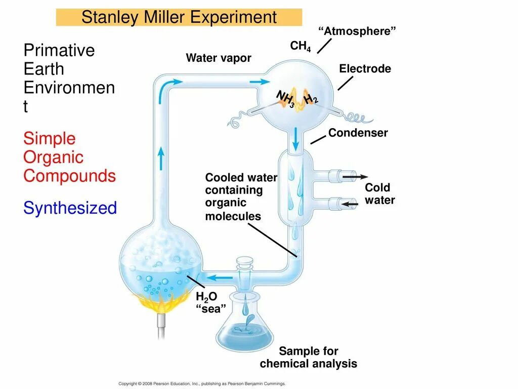 Стэнли Ллойд Миллер эксперимент. Эксперимент Миллера 1953. Эксперимент Стэнли Миллера. Абиогенез эксперимент Миллера.