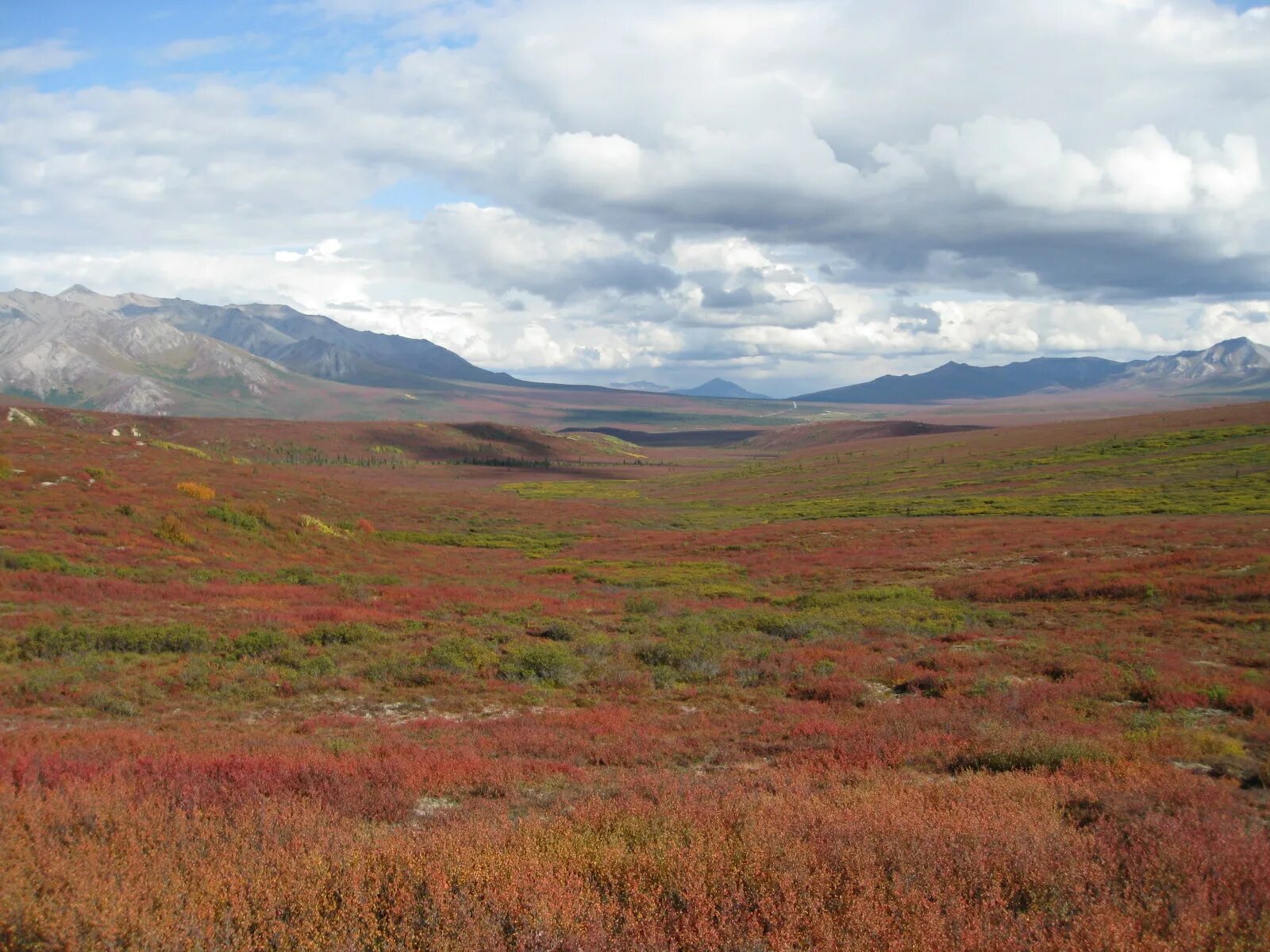 Не работает тундра. Зона тундры. Климат тундры. Не работает тундра. Кюме тундра.