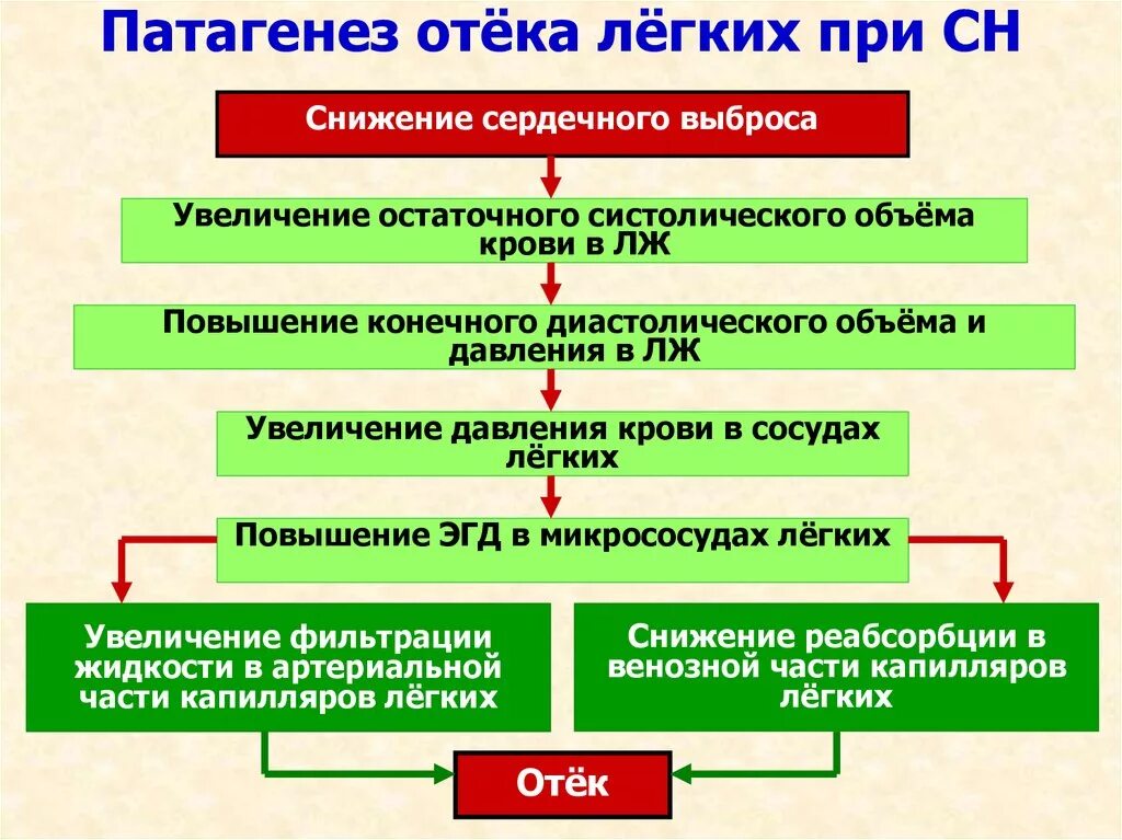 Схема развития отека легких. Патогенез сердечных отеков патофизиология. Патогенез развития отека легких при сердечной недостаточности. Отёк лёгких патогенез и этиология. Отек легких механизм