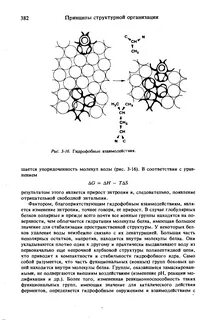 Гидрофобными веществами являются