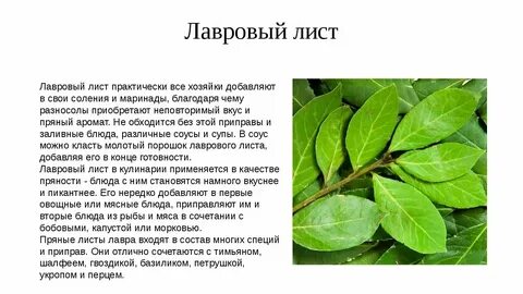 Лавровый лист ударение