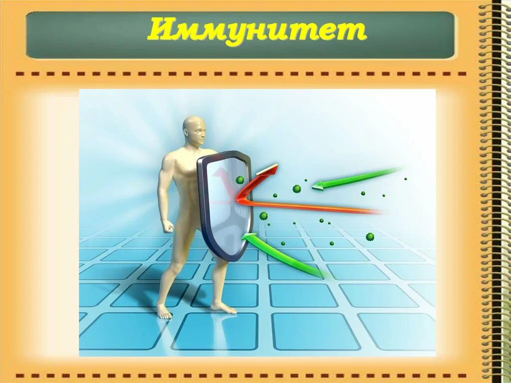 Иммунные часы. Иммунитет человека. Презентация на тему иммунитет человека. Рисунок на тему иммунитет. Иммунитет человека биология.