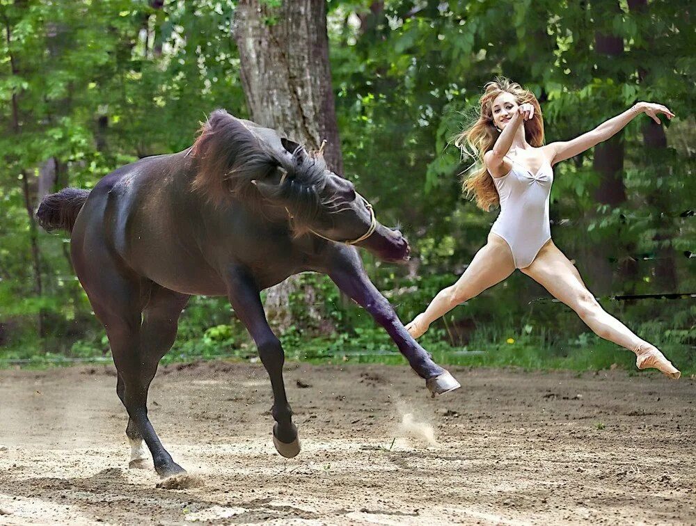 Подборка. Лошадь танцует. Танец лошадей. Забавные девушки. Девушка с лошадью смешно.