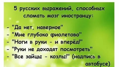 Сложные выражения в русском языке