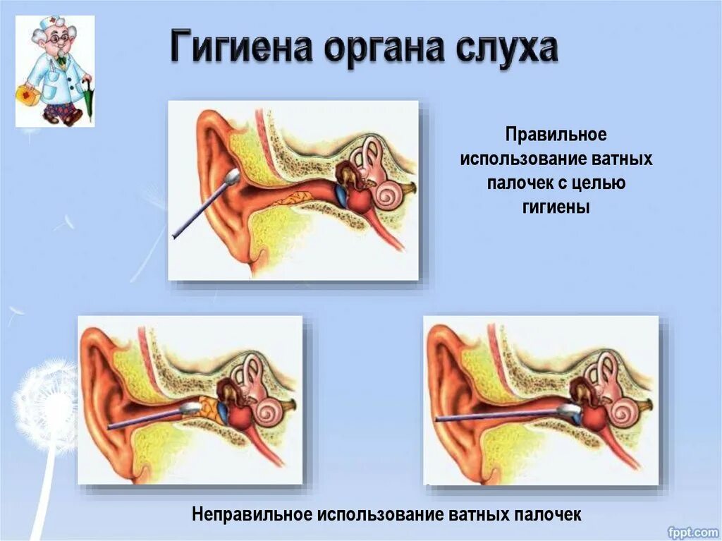 Гигиена органов слуха. Орган слуха гигиена слуха. Памятка гигиена слуха. Памятка по гигиене слуха.