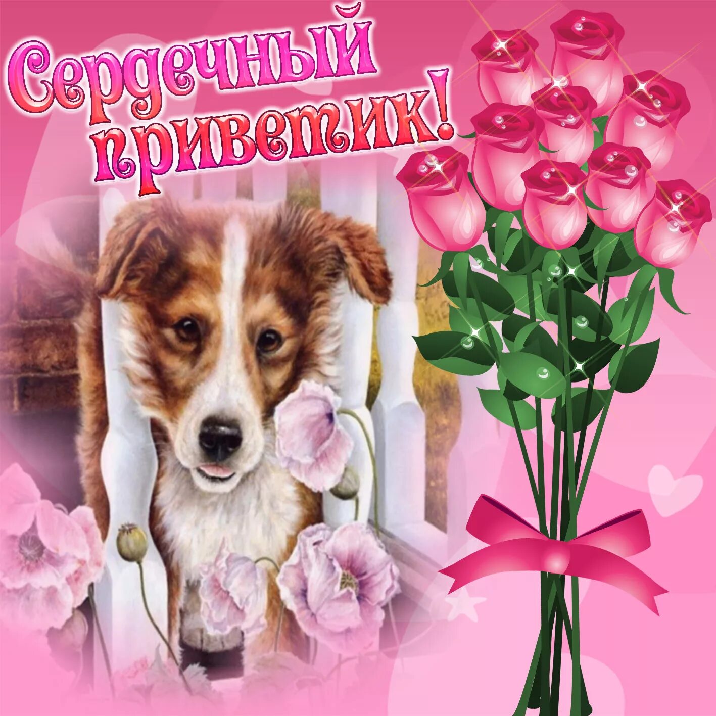 Открытки привет. Дружеский привет картинки. Открытки огромный привет. Дружеское Приветствие открытка.