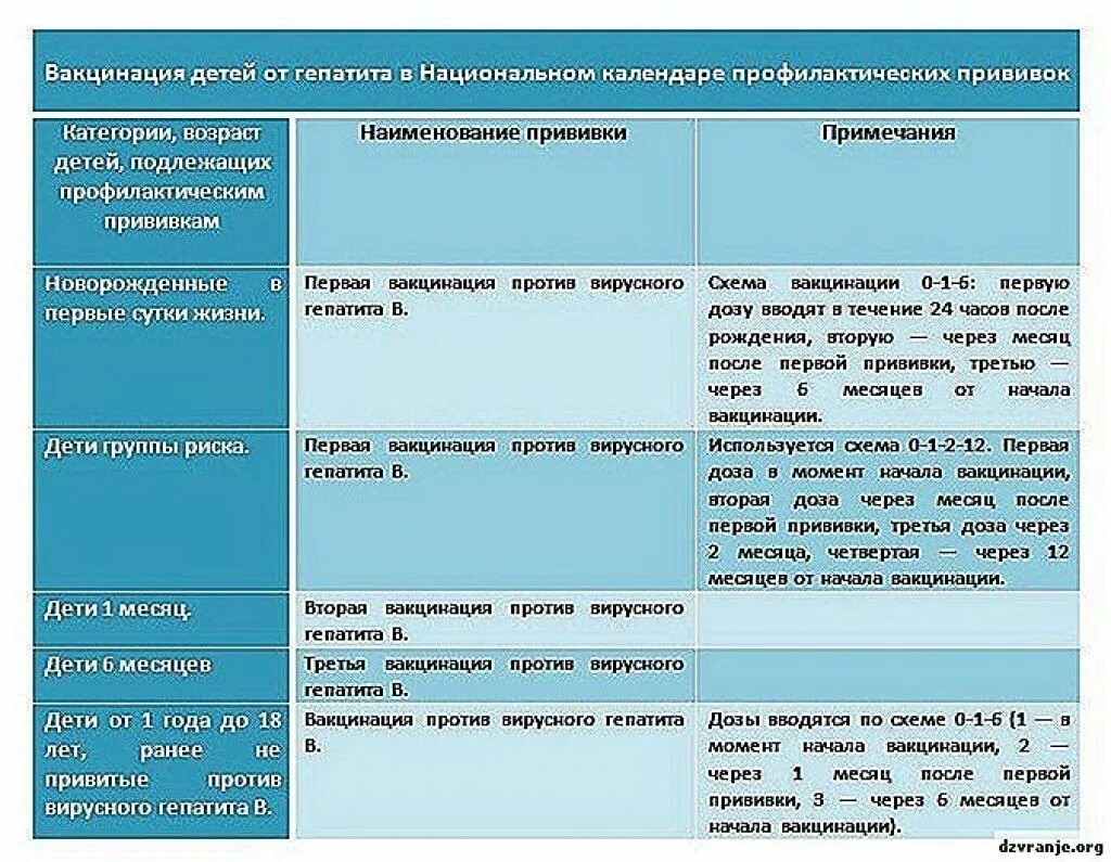 Гепатит б ревакцинация взрослым. Схема прививки гепатит б детям. Прививки против гепатита в детям схема. Вирусный гепатит б схема вакцинации. Прививка против гепатита в схема вакцинации.