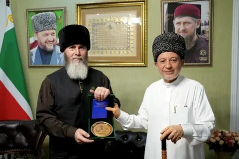 Айман сувейд