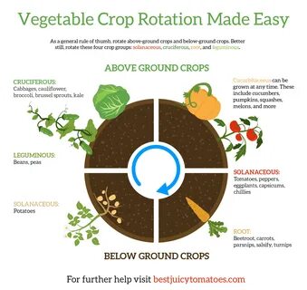 How to crop