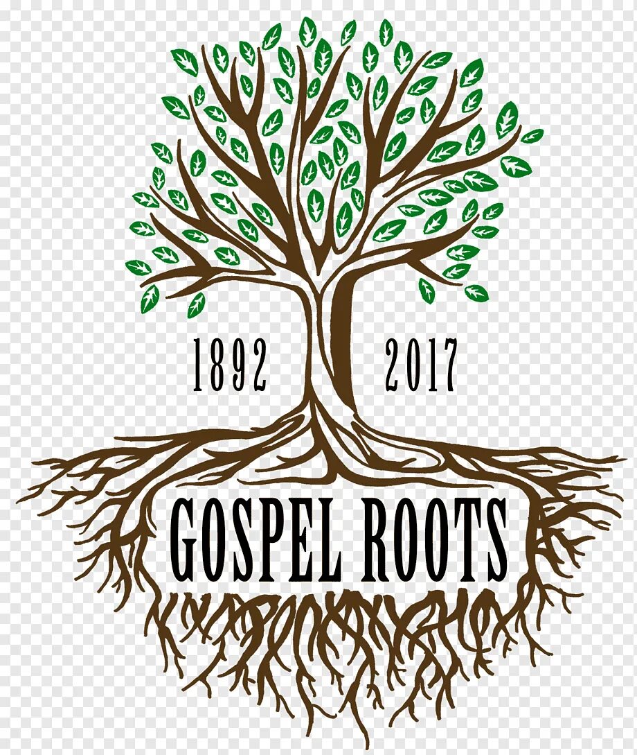 A tree without roots