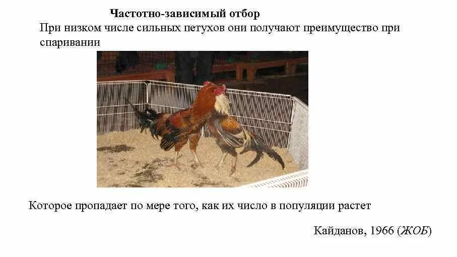 Поглощение лазерного излучения металлами. Частотно зависимый. Частотно зависимый. Отрицательный частотно зависимый отбор. Частотно зависимый.