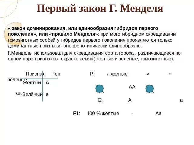 Задачи по первому закону менделя