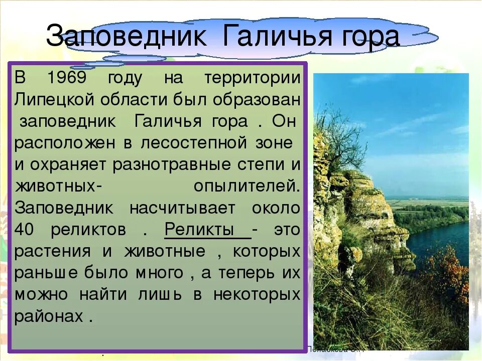 Заповедник Галичья гора в Липецкой области. Рассказ о заповеднике Галичья гора. Характеристика заповедника Галичья гора. Заповедник хищных птиц Галичья гора. Природный заповедник россии написать