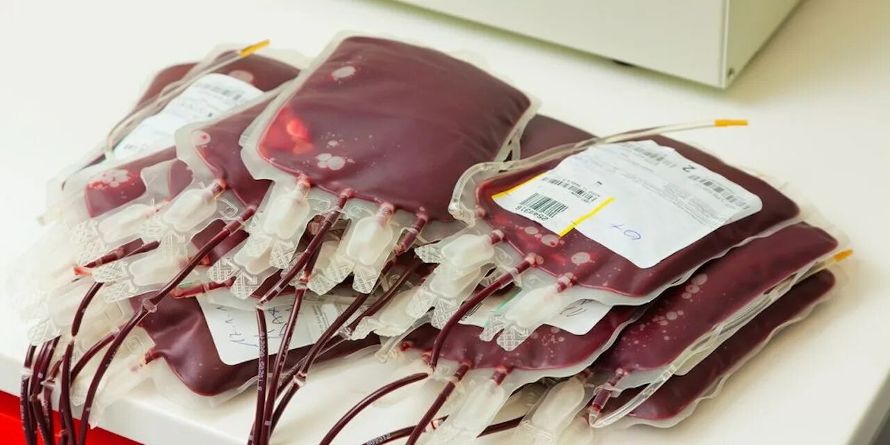 Страна крови ком. Пакет с донорской кровью Сток.