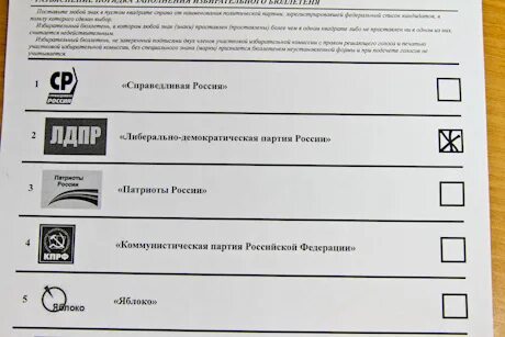 Как выглядит бюллетень для голосования в 2024