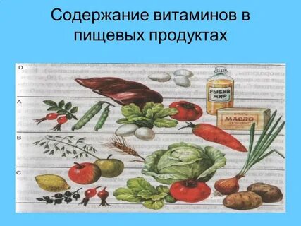 Содержание в продуктах витамина в 1