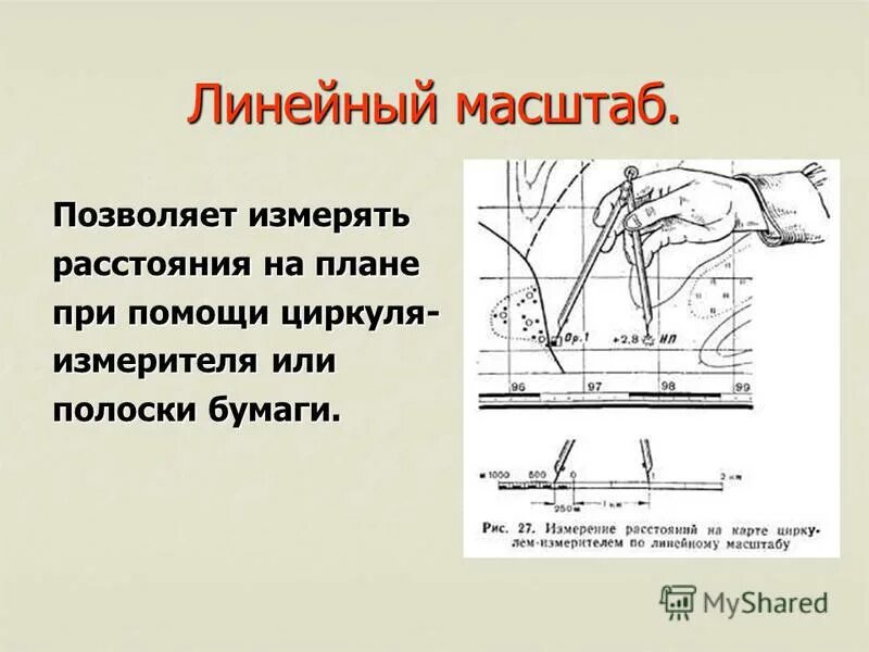 Виды линейных масштабов. Линейный масштаб.