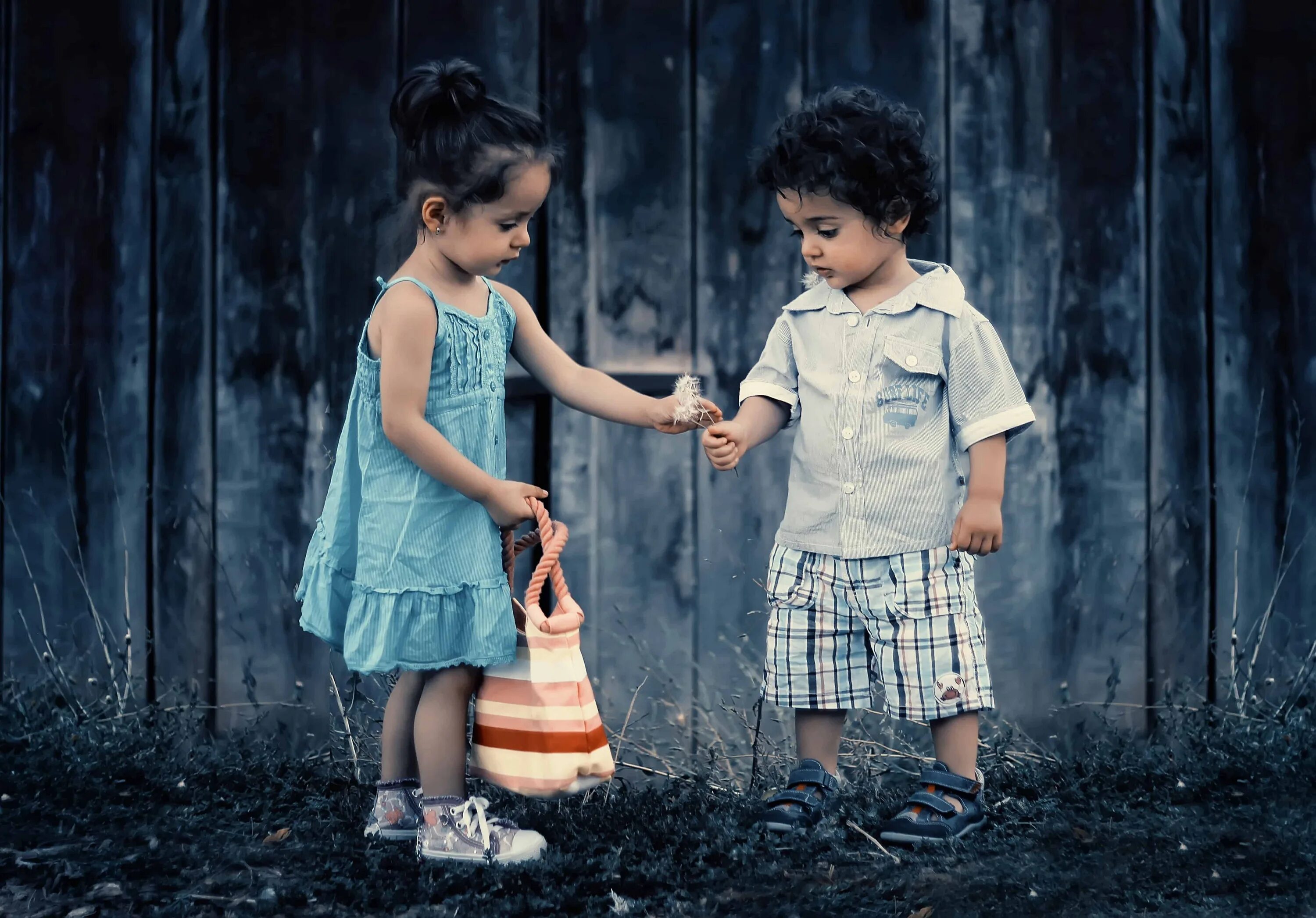 Who s kind