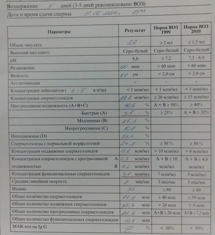 Спермограмма норма кдл. Слизь спермограмма. Требования для сдачи спермограммы. Рекомендации по сдаче спермограммы. Показатели спермограммы по воз.