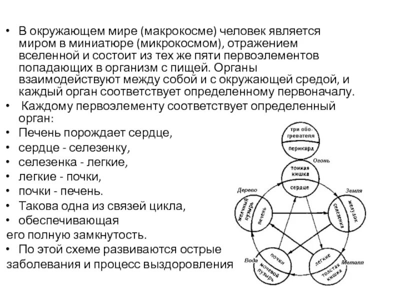 Микрокосм это