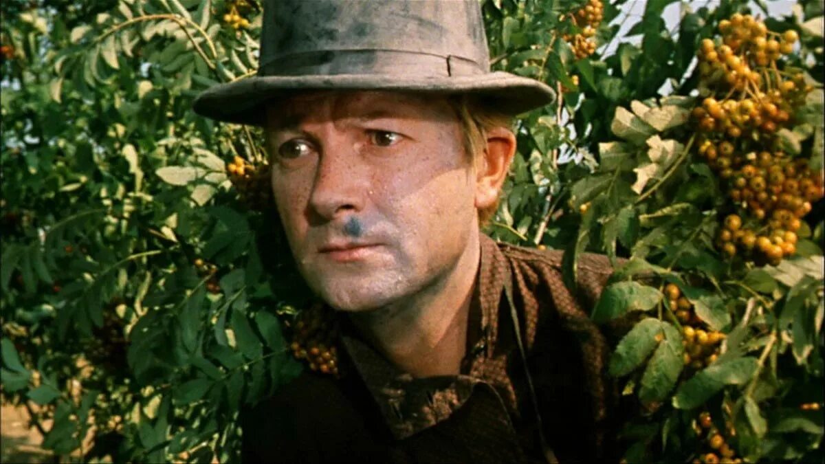 Сколько лет прожил вицин. Вицин женитьба бальзаминова. георгий вицин 1964. георгий вицин бальзаминов. георгий вицин женитьба бальзаминова.
