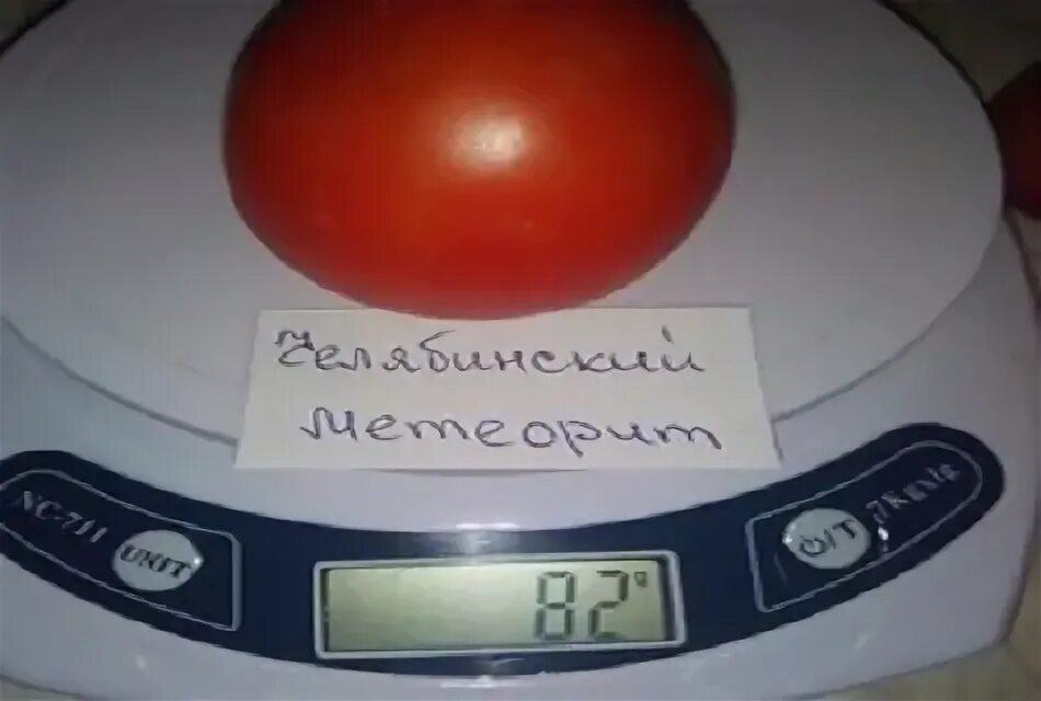 Томат сорта челябинский метеорит. Помидоры метеорит. помидоры челябинский метеорит. челябинский метеорит томат фото. томат метеорит характеристика и описание.