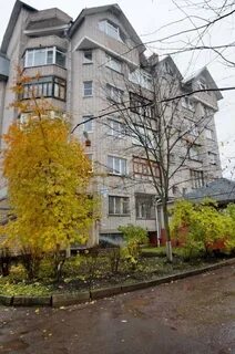 Новгород свободы