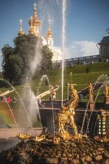 Жемчужина петергофа 242 санкт петербург