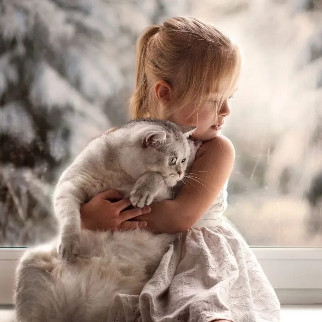Породы кошек которые любят детей. Елена шумилова фотограф. елена шумилова 2020. кошка для детей. девочка с котом.