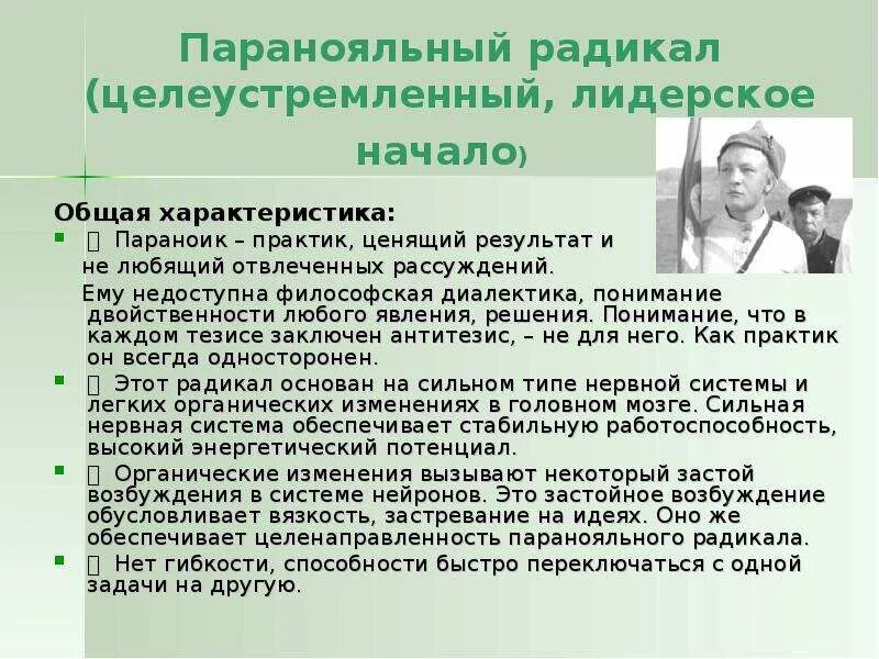 Тип психологического радикала. Пономаренко типы личности. 7 радикалов параноик. радикалы психотипы. типы психологических радикалов.