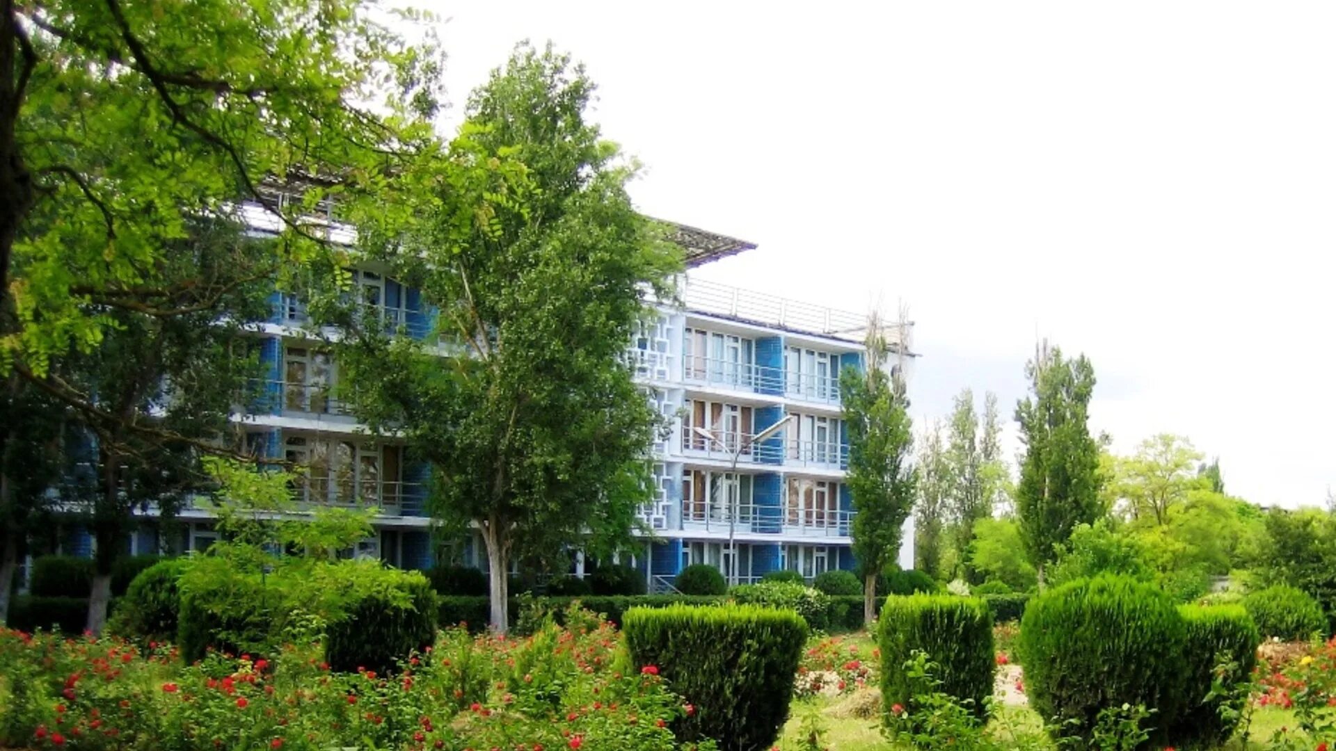 чайка заозерное евпатория. лагерь лучезарный в евпатории. лагерь орленок евпатория. евпатория детская здравница. детские санатории в крыму.