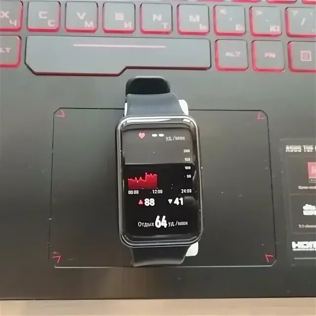 Fit graphite. Fit graphite