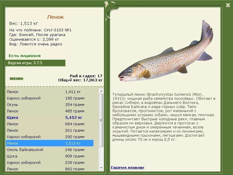 Какую рыбу сейчас можно ловить. Рыбы Сибири и дальнего Востока названия. Рыбы дальнего Востока названия. Рыба семейства лососевых хариус. Виды рыб дальнего Востока.
