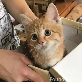 Совсем худ