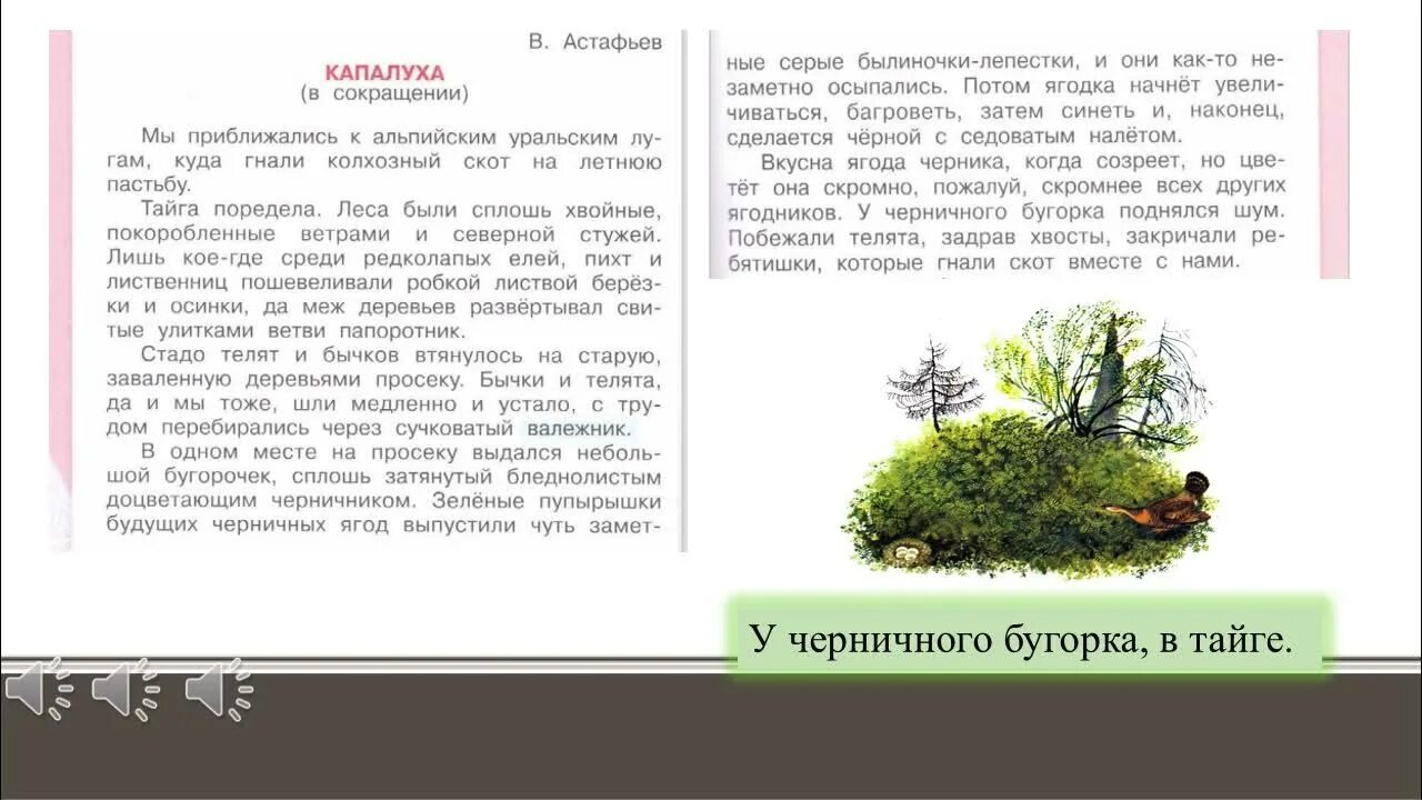 Капалуха астафьев краткое содержание. Рассказ Капалуха Астафьев. Пересказ Капалуха.