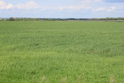 Самарская область аренда земель