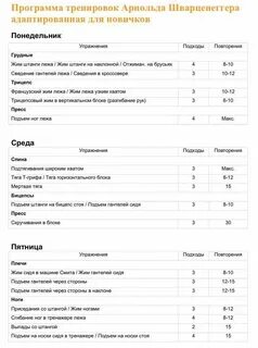 Программы на массу в тренажерном зале