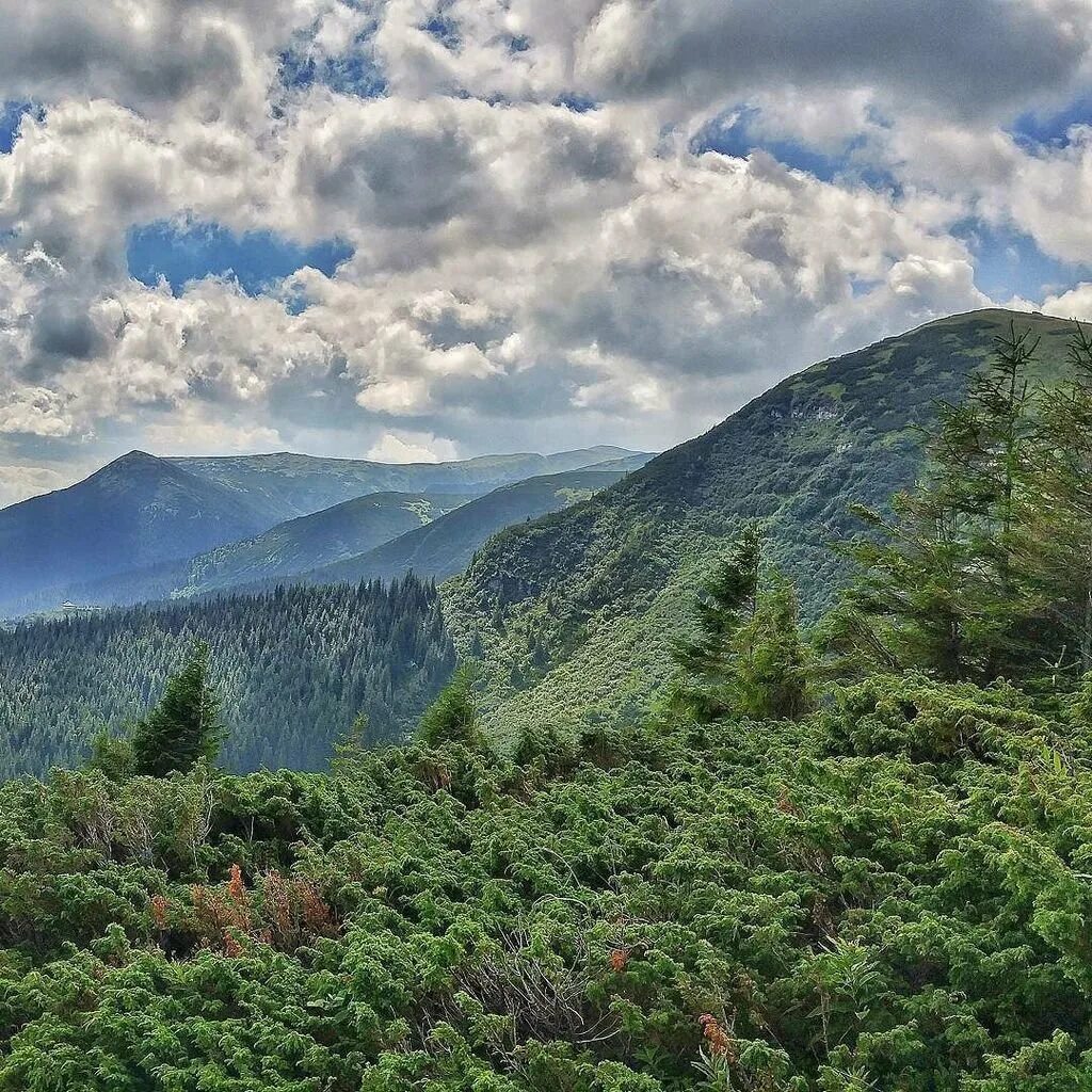 горы лес карпаты. карпаты какие горы. гора златибор карпаты. горные хребты карпаты. карпаты какие горы.