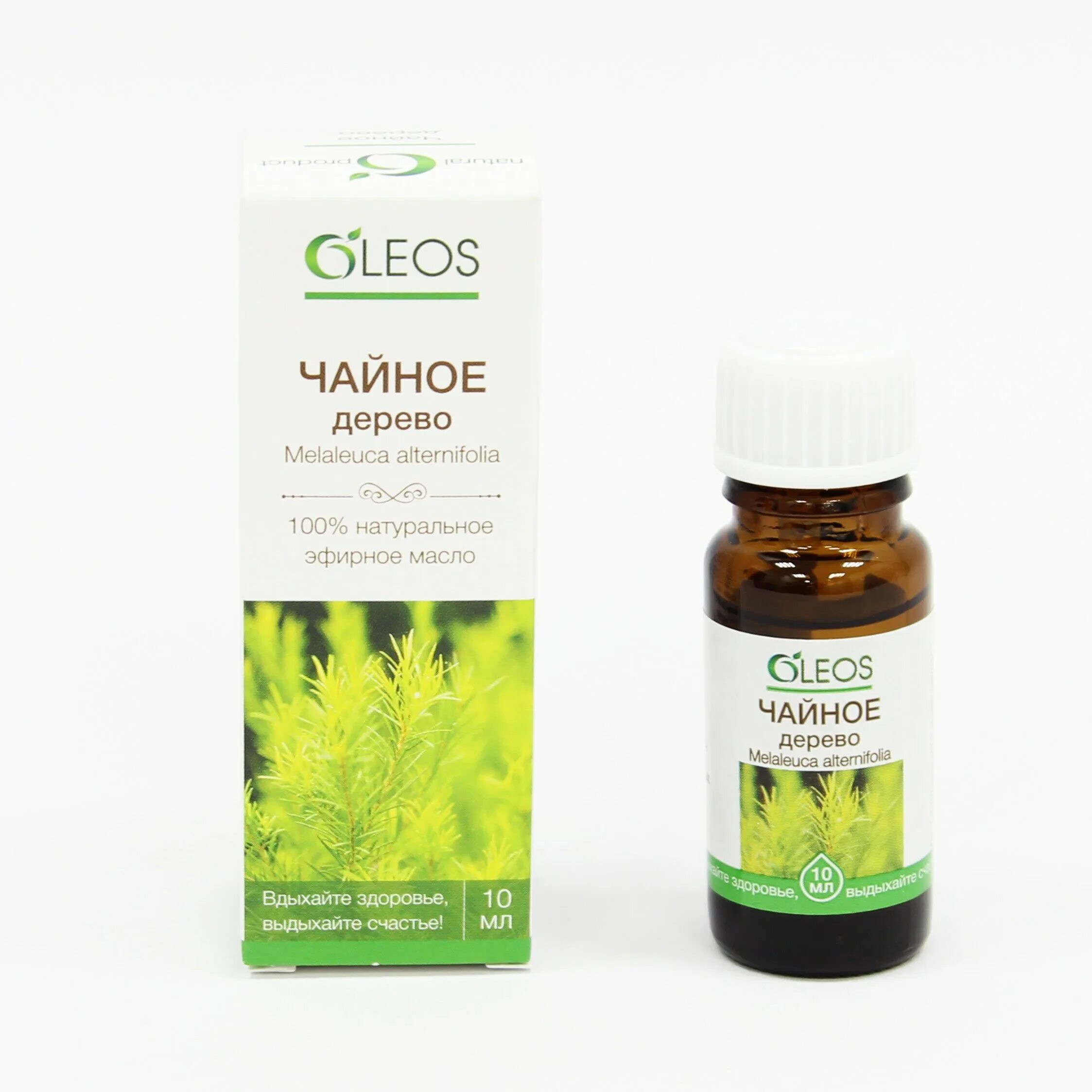 Oleos эфирные масла отзывы. Эфирное масло atma лимона 10мл. Масло эфирное "майоран". Олеос эфирное масло эвкалипт 10мл. Oleos эфирные масла отзывы.