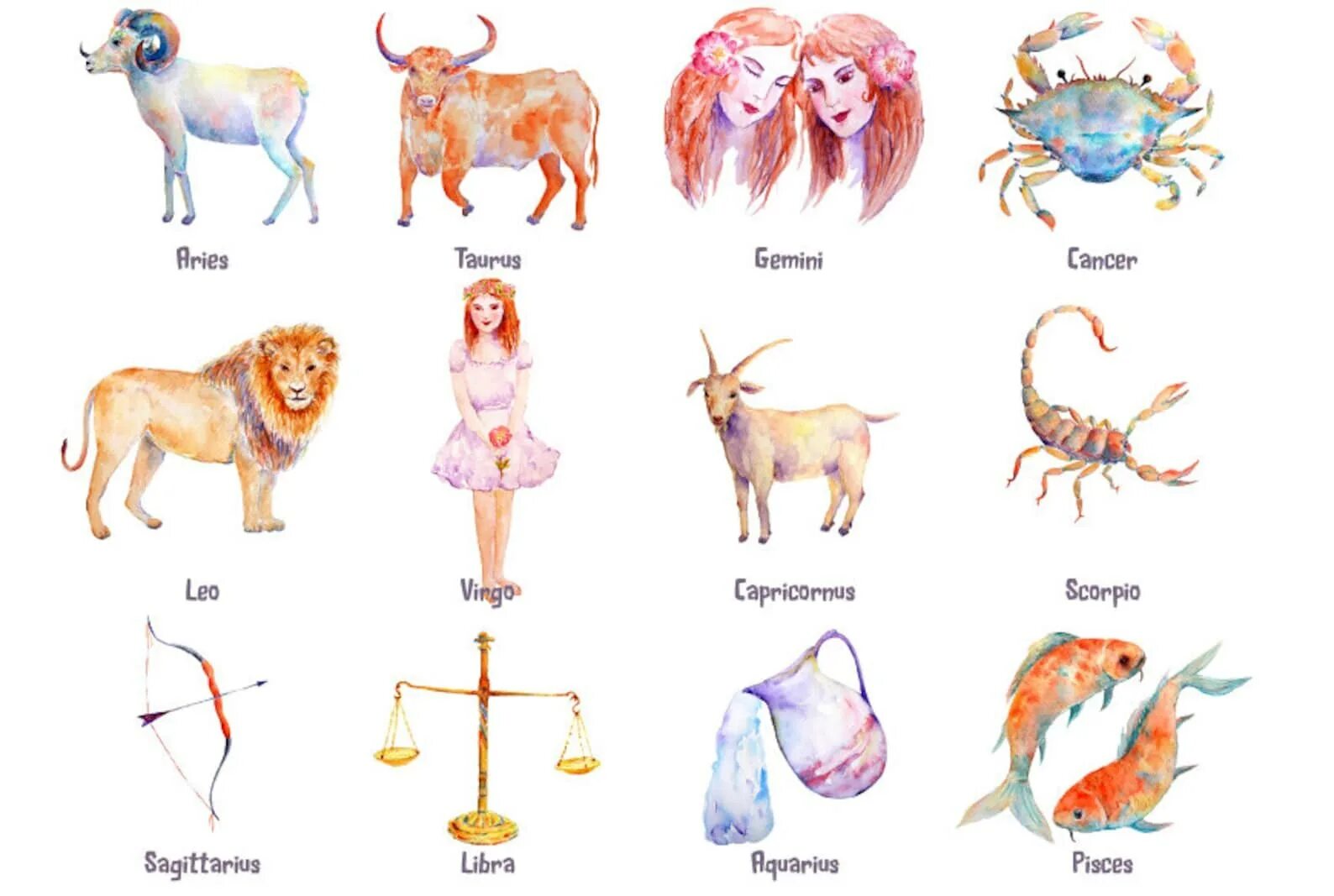 Животные по знаку зодиака. Знаки зодиака животным. Знаки зодиака в виде животных. Рисунки знаков зодиака животных.