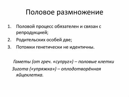 Половая сущность