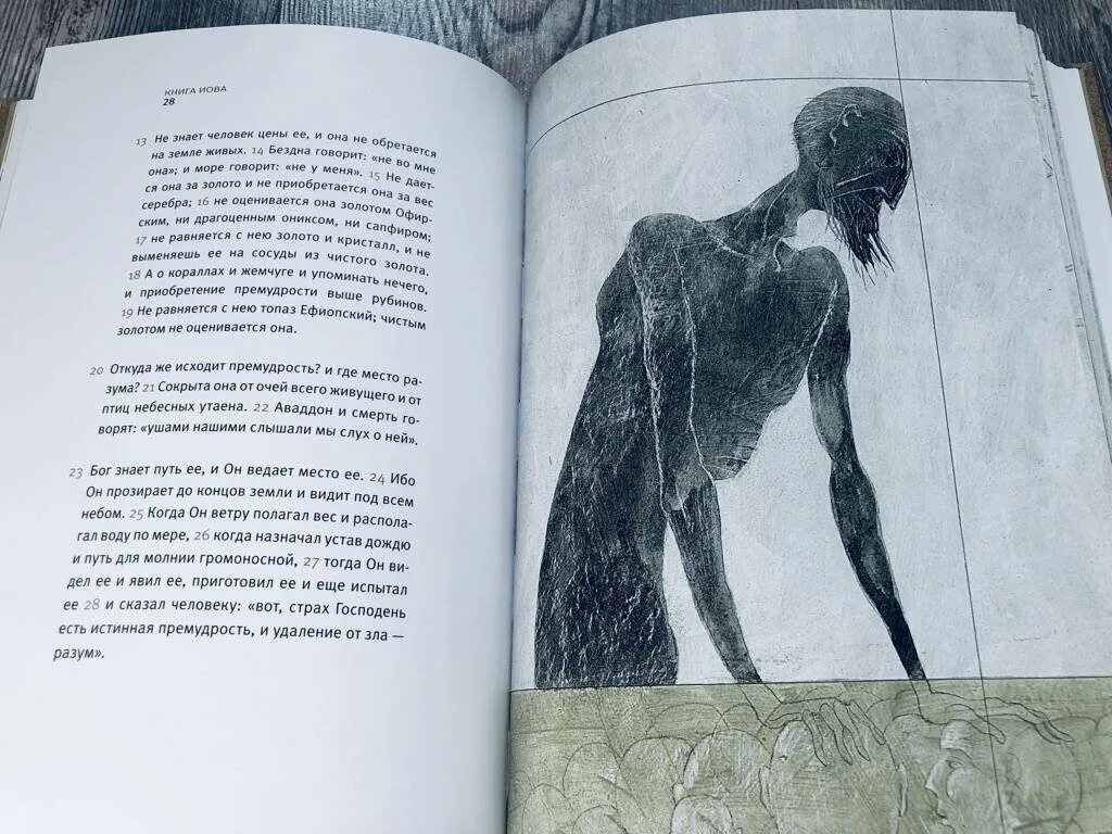 Иов содержание. Библия. книга иова. ветхий завет. библейская книга иова. книга иова иллюстрации. ветхозаветная книга иова.