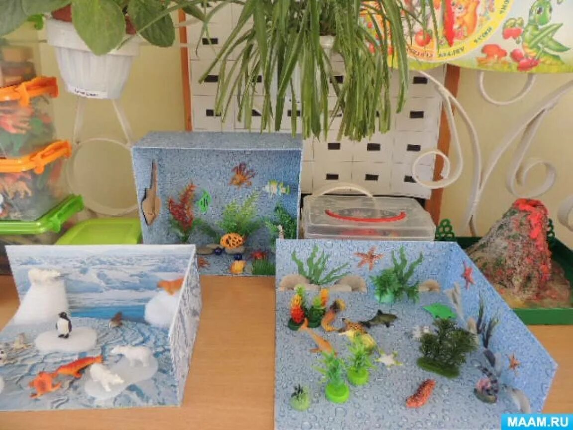 Экологический уголок в саду. Эколого развивающая среда в доу. Экологический уголок в детском саду. Развивающая среда экологии в доу. Уголок природы в средней группе.