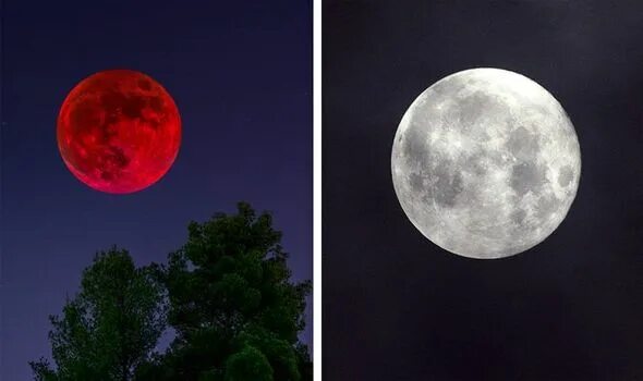 8 11 2023. Кровавая Луна 2022. Полнолуние Кровавая Луна. Полнолуние суперлуние, Кровавая Луна. Moon Eclipse 2021.