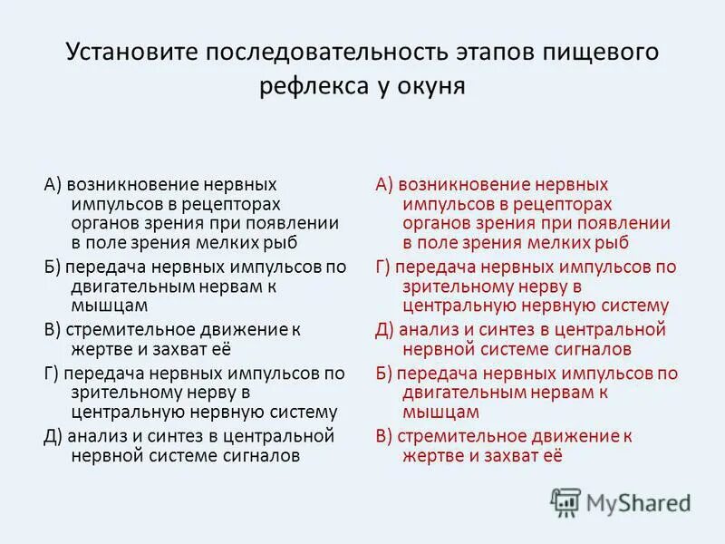 Таблица звенья рефлекторной дуги функции звенья. Этапы и механизмы синаптической передачи. Определите правильную последовательность рефлекторной дуги. Задания на установление последовательности география. Установите последовательность передачи нервного.