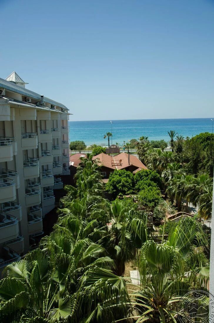 Alexius hotels