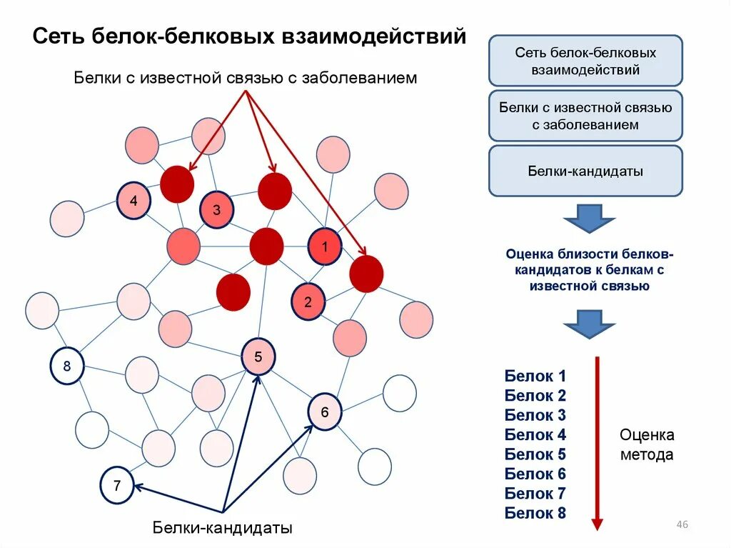 Взаимодействие сетей связи. Белковые сети. Белок-белковых взаимодействий. Анализы молекулы. Сеть молекулярная проект.