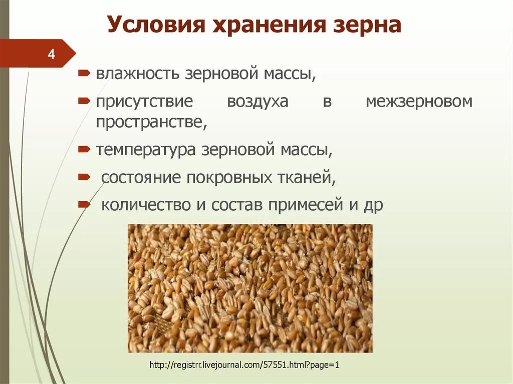 Условия хранения зерновых товаров. Условия хранения зерна. Условия хранения зерна пшеницы. Условия хранения и транспортировки зерна.